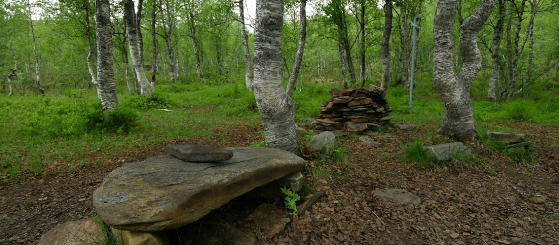 Forêt indienne de fauske, photo de mind trip.ai